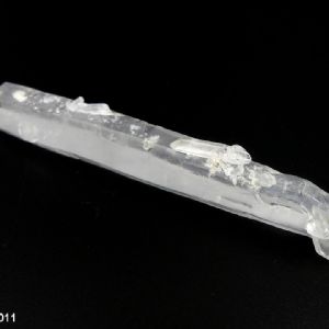 Laser - Lémurien brut 8,5 cm. Pièce unique