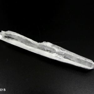 Laser - Lémurien brut 8,4 x 1,1 cm. Pièce unique