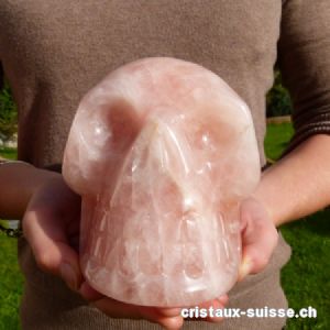 Crâne Quartz rose, long 15 cm, haut 11 cm. Pièce unique 2,538 kilos