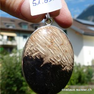 Pendentif Palmier fossilisé cabochon en argent 925. Pièce unique 4 x 3 cm