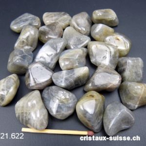 Labradorite claire 2 à 2,8 cm. Taille M