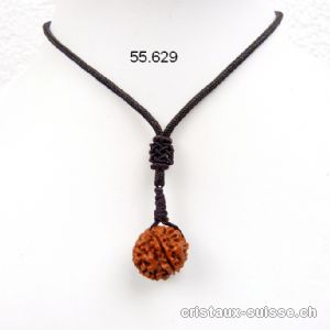 Rudraksha 15-17 mm, percé avec cordon en tissu réglable