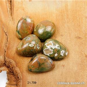 Rhyolite opalisée amazonienne  2 cm, dominance brune