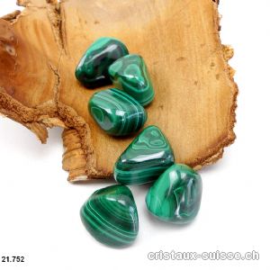 Malachite du Congo 19 à 23 grammes. Taille L