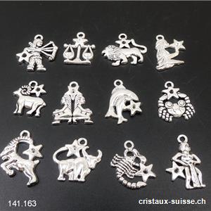 Lot 12 charms Signes Astrologiques 2 - 2,5 cm, en métal
