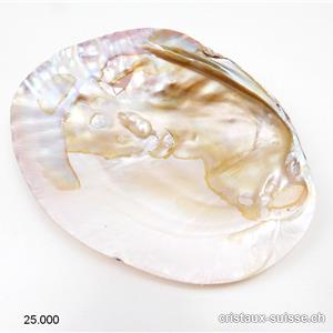 Coquillage avec perles dans la nacre 15 à 16 cm