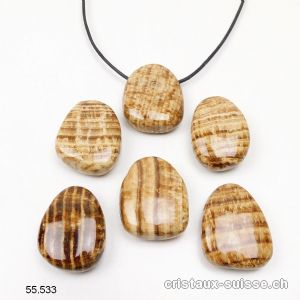 Aragonite brune 3 - 3,5 cm percée avec cordon en cuir à nouer