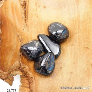 Purpurite noire 2 - 2,5 cm / 10 à 13 grammes. Taille SM
