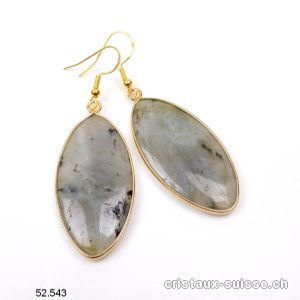 Boucles d'oreilles goutte Labradorite en métal doré