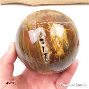 Boule Bois fossilisé cristallisé 8,5 - 9 cm. Pièce unique 915 Grammes