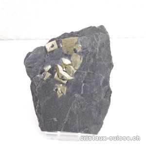 Pyrite sur Ardoise de la Suisse avec support plexiglas. Pièce unique