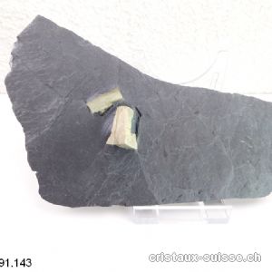 Pyrite sur Ardoise de la Suisse avec support plexiglas. Pièce unique