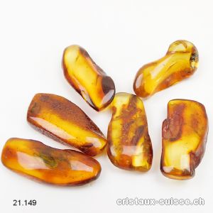 Ambre de la Baltique 3,5 - 4 cm / 3 à 3,5 grammes. Taille L