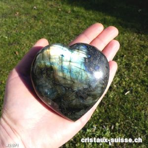 Coeur Labradorite XL. Pièce unique 404 grammes