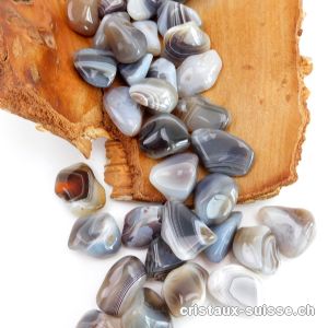 Agate Botswana beige-brun-gris 1,8 à 2,5 cm. Taille M