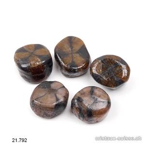 Chiastolite  - Pierre de Croix 2,2 - 2,5 cm / 13 à 15 grammes