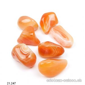 Agate Abricot 2 - 3 cm. Taille SM - M