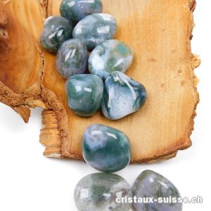 Agate Mousse verte 2,5 - 3 cm. Taille M