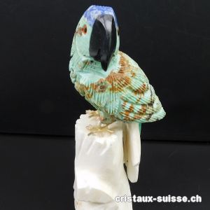 Perroquet Turquoise - Chysocolle sur socle Aragonite blanche. Pièce unique