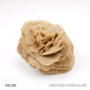 Rose des Sables env. 8 x 5 cm. Pièce unique
