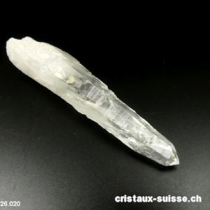 RARETÉ : Lémurien brut 10 cm. Pièce unique 40 grammes