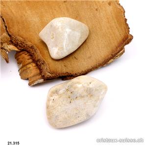 Corail fossilisé beige forme libre, taille XL, 19 à 24 grammes.