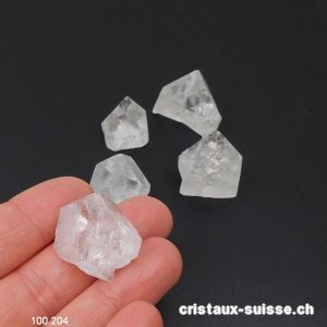 Apophyllite cristal, H. 1,5 à 2 cm / 5 à 8 grammes