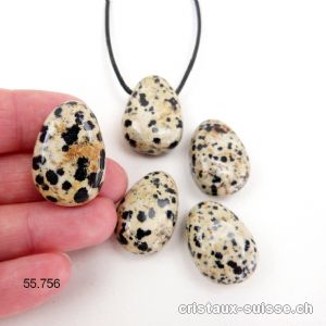 Jaspe Dalmatien 2,5 - 3 cm percé avec cordon cuir à nouer