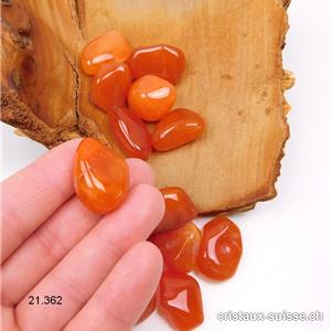 Agate Abricot 2 - 2,5 cm/5 à 8 grammes. Taille SM