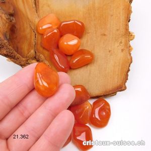 Agate Abricot 2 - 2,5 cm/5 à 8 grammes. Taille SM