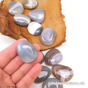 Agate Botswana gris-beige plate 3 - 3,5 cm. Taille M