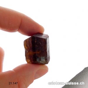 Tourmaline brune - Dravite, biterminée brute 2,5 - 2,8 cm / 17 à 20 grammes