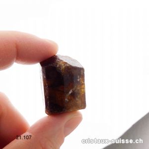 Tourmaline brune - Dravite, biterminée brute 2,7 - 3 cm / 24 à 27 grammes