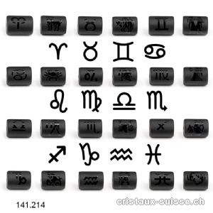 12 x Obsidienne noire Tubes 14 x 10 mm percés, 12 signes astrologiques