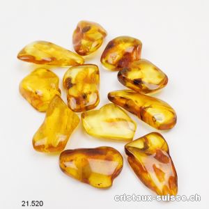 Ambre de la Baltique 2,5 - 3,5 cm / 3 à 4 grammes. Taille L