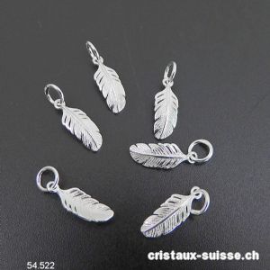 Charm Plume incurvée en argent 925, 12 mm