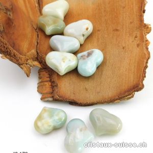 Coeur Amazonite multicolore 2,5 x 2 cm