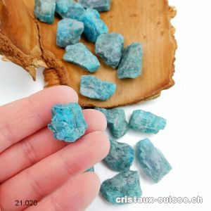 Apatite bleue brute de Madagascar 5 à 7 grammes