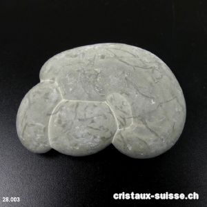 Fairy Stone DEVELOPPEMENT DE LA VIE. Pièce unique