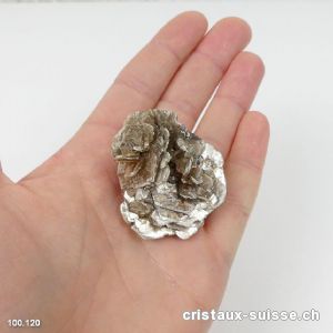 Muscovite du Brésil. Pièce unique 4,5 cm