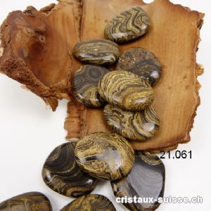 Stromatolite plate, 3 - 3,5 cm. Taille M-L