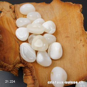 Agate blanche - Agate de la Paix 06 à 10 grammes / 2 à 2,5 cm. Taille SM. OFFRE SPECIALE