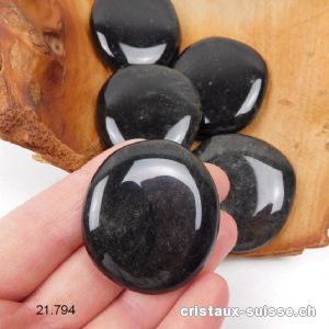 Obsidienne Argentée plate, env. 4 - 4,5 cm. Taille L-XL