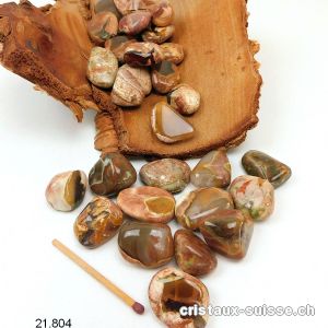 Agate Thunderegg - Pierre d'amulette d'Australie  2 - 2,5 cm. Taille SM
