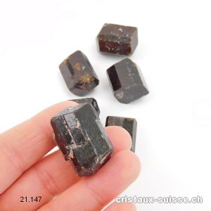 Tourmaline brune - Dravite, biterminée brute 2,5 - 2,8 cm / 17 à 20 grammes