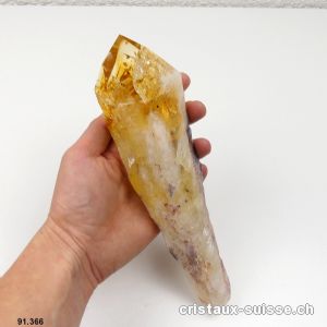 Citrine du Brésil pointe brute GEANTE. Longueur 22 cm. Pièce unique 614 grammes