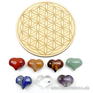 Set Chakras 7 Coeurs 2,5 cm et Plateau Fleur de Vie en bois 10 cm