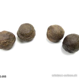 Moquis marbles, paire mâle-femelle. Diamètre 3 cm à 3,5 cm