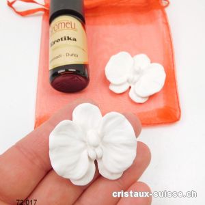 Set EROTIKA Fleur-Diffuseur et parfum d'ambiance