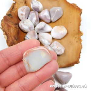 Agate Botswana gris-rose-beige 2,5 - 3 cm. Offre Spéciale